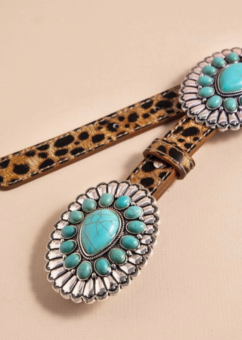 Western Turquoise Belt