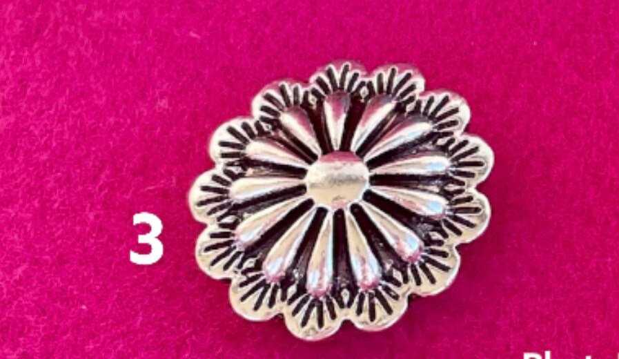 Turquoise Silver Pins