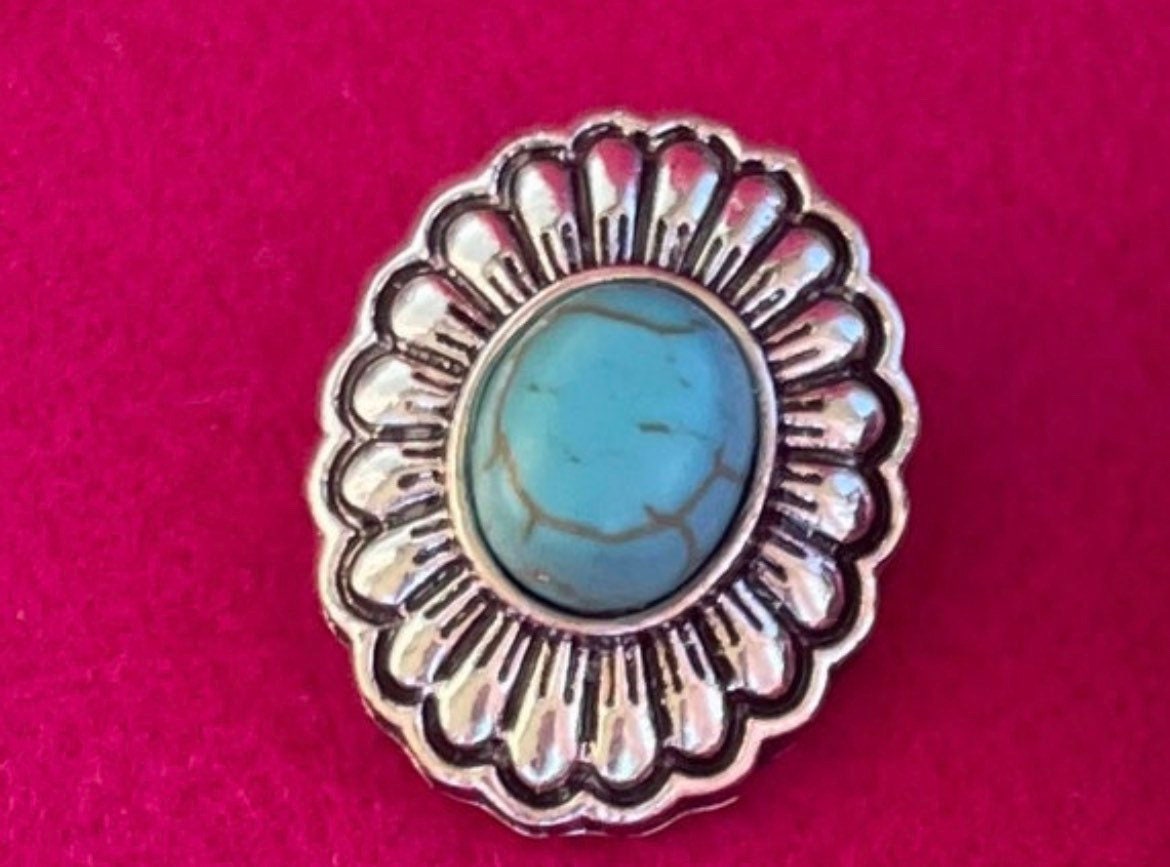 Western Turquoise Pins